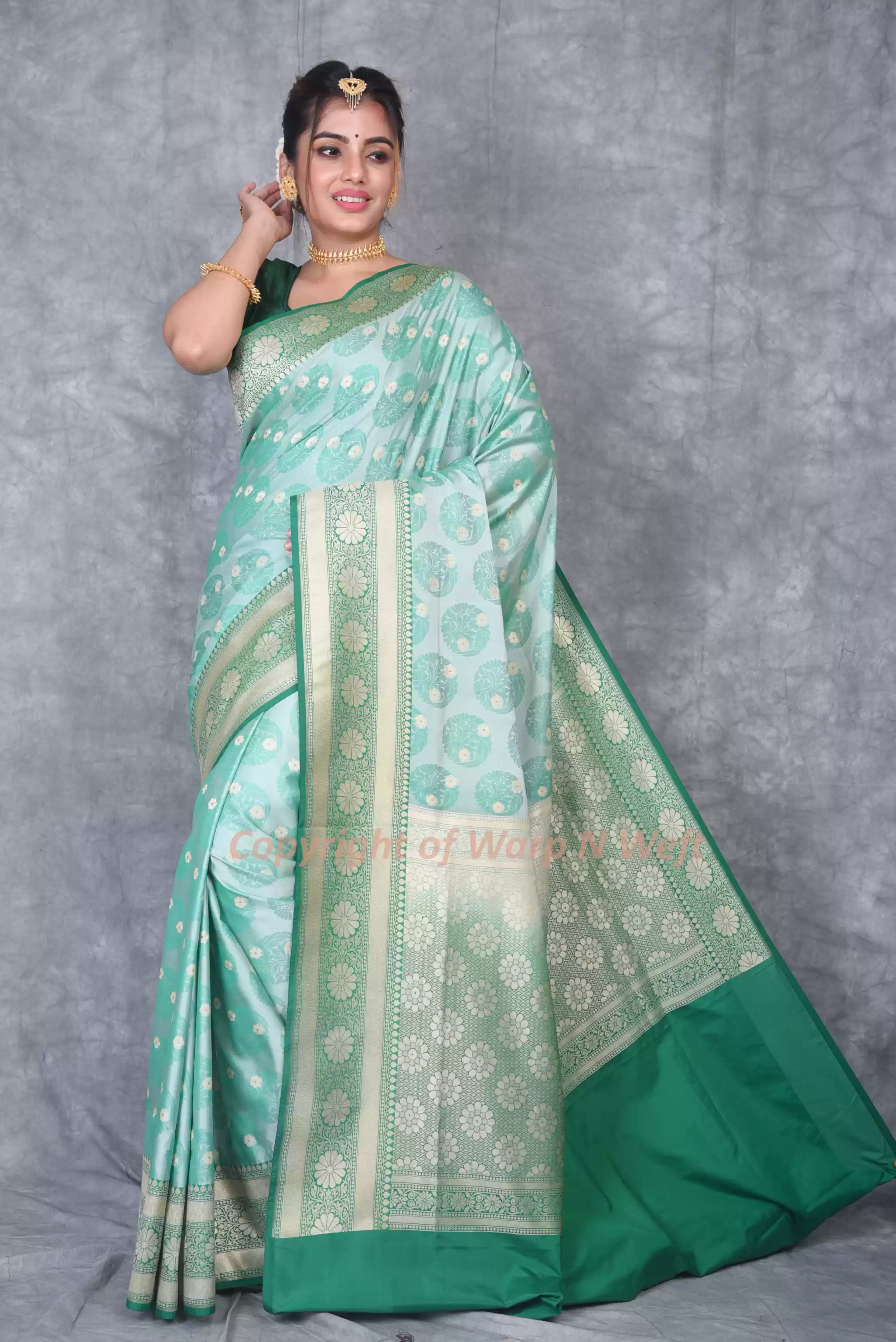 Mint Green & Emerald Green Banarasi Silk Saree with Woven Jacquard Designs and Zari Border