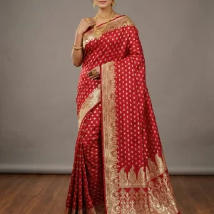 Red and Gold Woven Banarasi Silk Saree