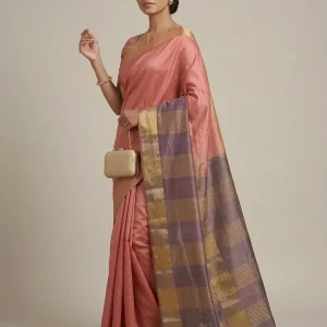 Tussar Silk Saree with Contrast Pallu & Broad Zari Border