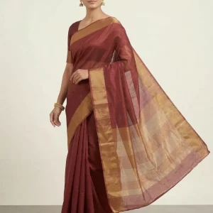 Tussar Silk Saree with Contrast Pallu & Broad Zari Border